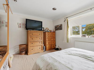 Picture 13